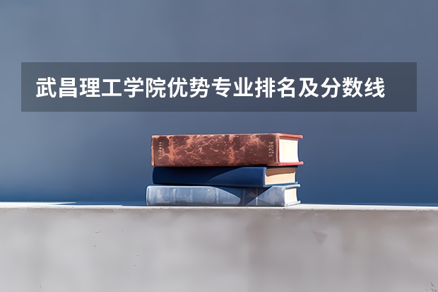 武昌理工学院优势专业排名及分数线