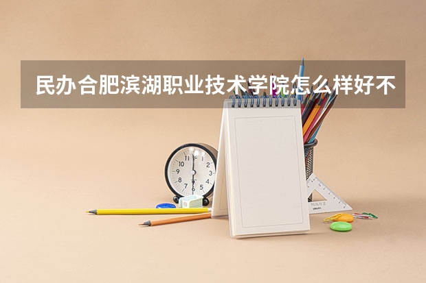 民办合肥滨湖职业技术学院怎么样好不好(附排名简介)