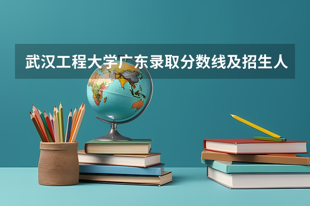 武汉工程大学广东录取分数线及招生人数是多少