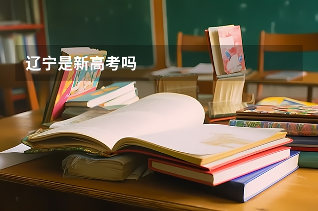 辽宁是新高考吗