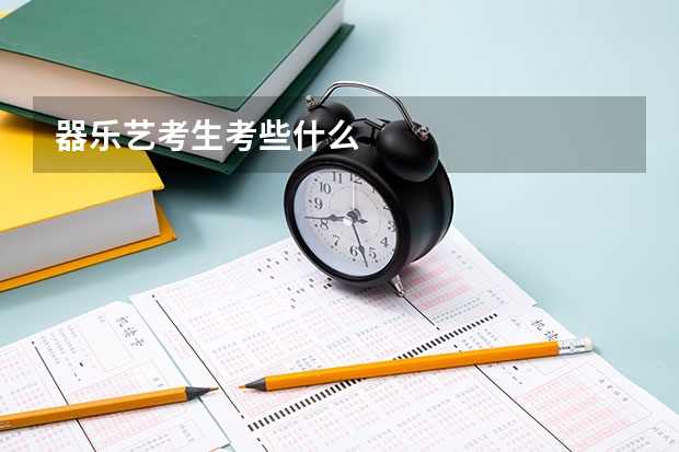 器乐艺考生考些什么