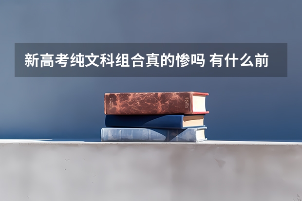 新高考纯文科组合真的惨吗 有什么前景