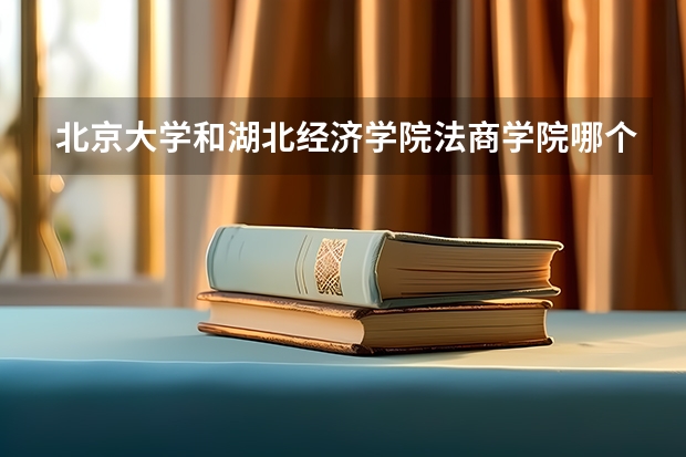 北京大学和湖北经济学院法商学院哪个好