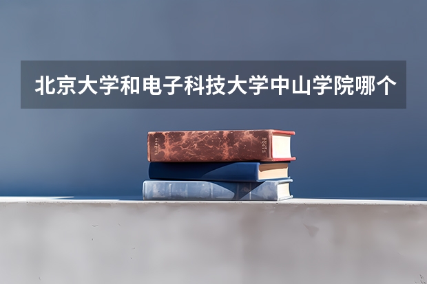 北京大学和电子科技大学中山学院哪个好