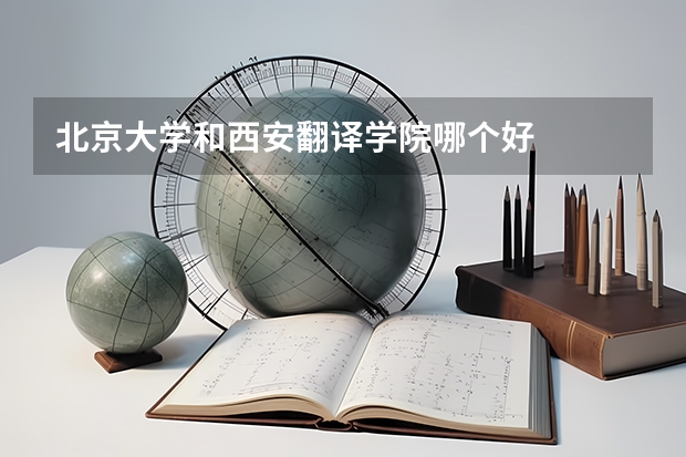 北京大学和西安翻译学院哪个好