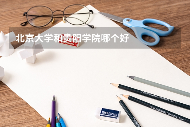 北京大学和贵阳学院哪个好
