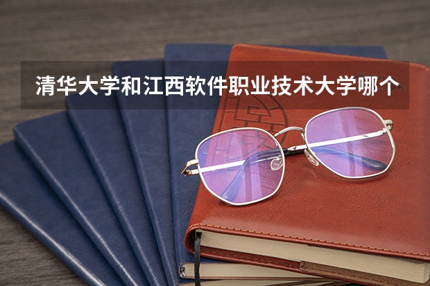 清华大学和江西软件职业技术大学哪个好