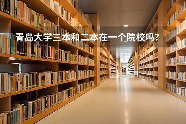 青岛大学三本和二本在一个院校吗？