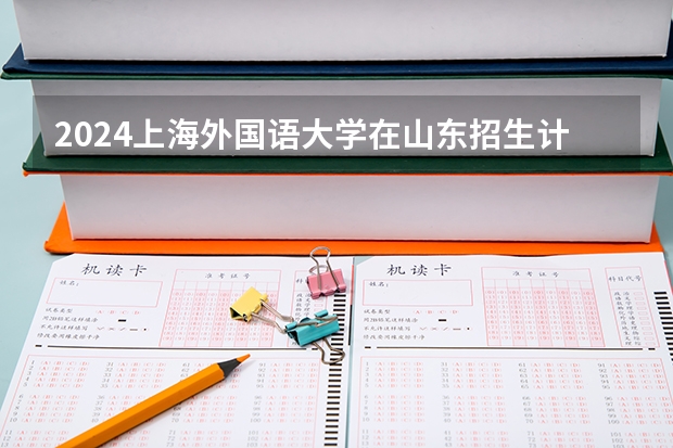 2024上海外国语大学在山东招生计划