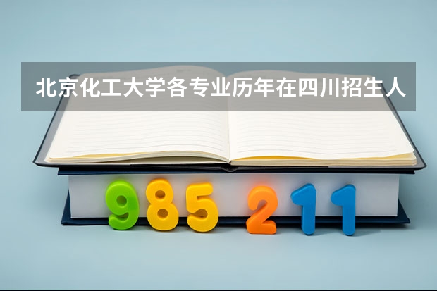 北京化工大学各专业历年在四川招生人数是多少