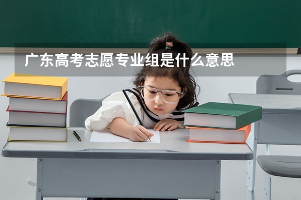 广东高考志愿专业组是什么意思