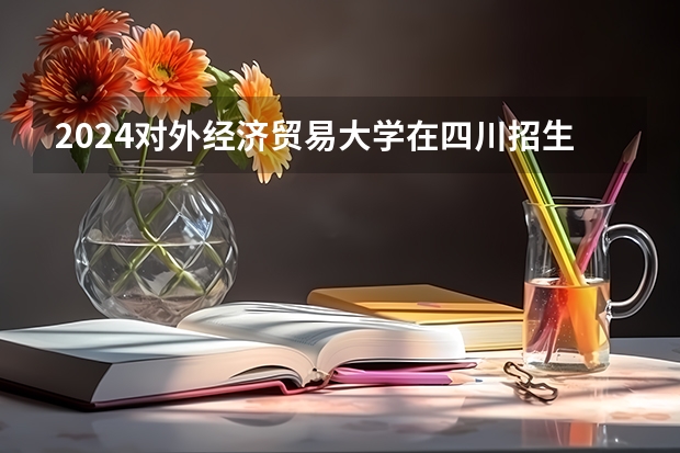 2024对外经济贸易大学在四川招生计划