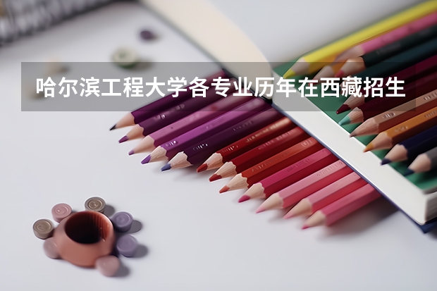 哈尔滨工程大学各专业历年在西藏招生人数是多少