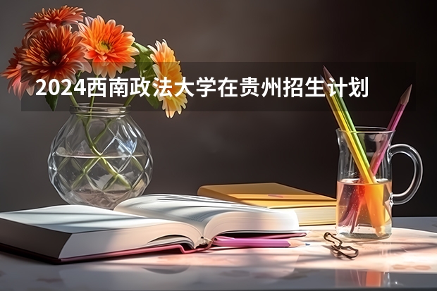 2024西南政法大学在贵州招生计划