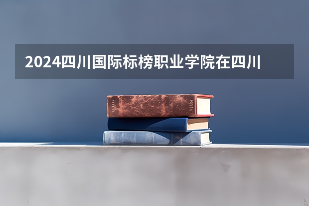 2024四川国际标榜职业学院在四川招生计划