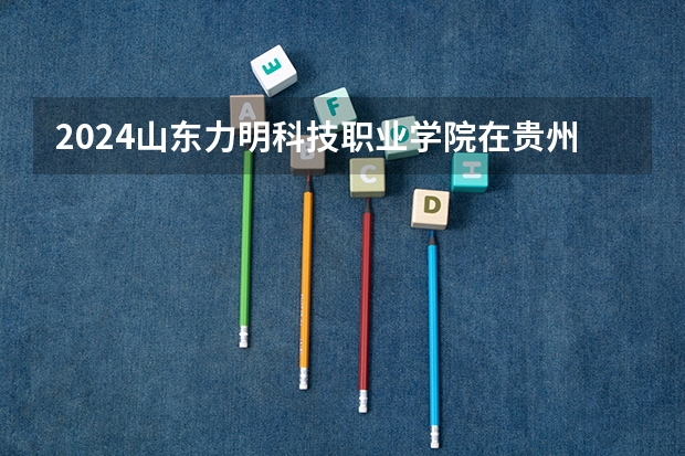 2024山东力明科技职业学院在贵州招生计划