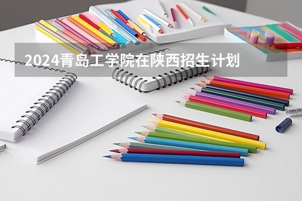 2024青岛工学院在陕西招生计划