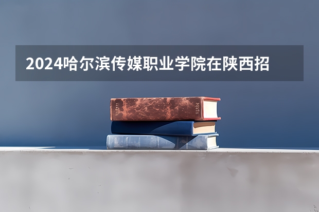 2024哈尔滨传媒职业学院在陕西招生计划
