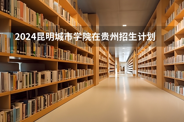 2024昆明城市学院在贵州招生计划