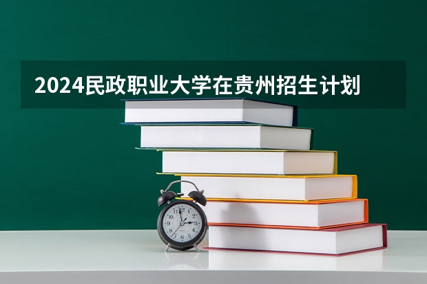2024民政职业大学在贵州招生计划