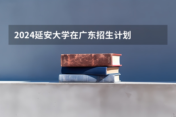 2024延安大学在广东招生计划