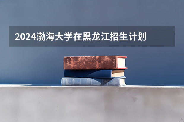 2024渤海大学在黑龙江招生计划
