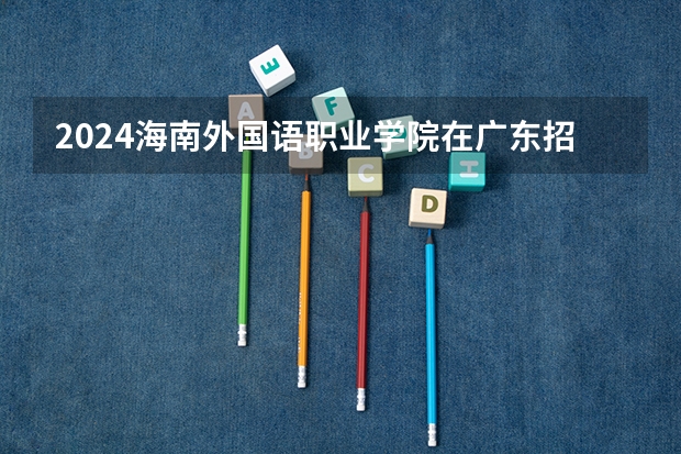 2024海南外国语职业学院在广东招生计划