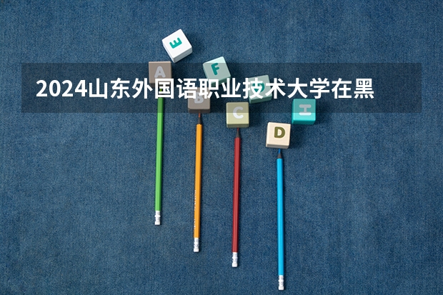 2024山东外国语职业技术大学在黑龙江招生计划