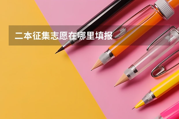 二本征集志愿在哪里填报