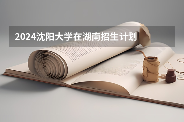 2024沈阳大学在湖南招生计划