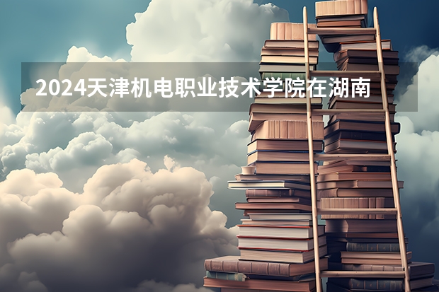 2024天津机电职业技术学院在湖南招生计划