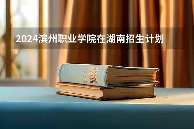 2024滨州职业学院在湖南招生计划