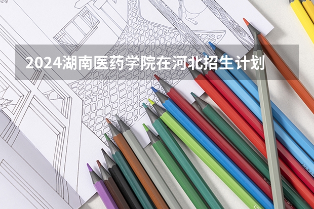 2024湖南医药学院在河北招生计划