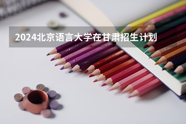 2024北京语言大学在甘肃招生计划