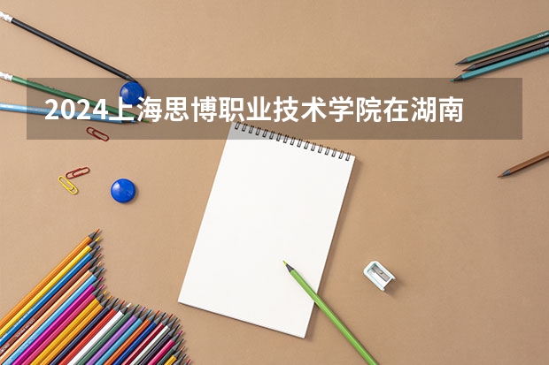 2024上海思博职业技术学院在湖南招生计划