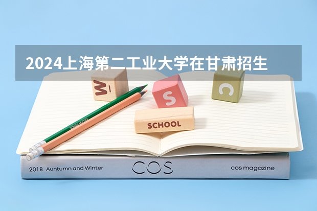 2024上海第二工业大学在甘肃招生计划