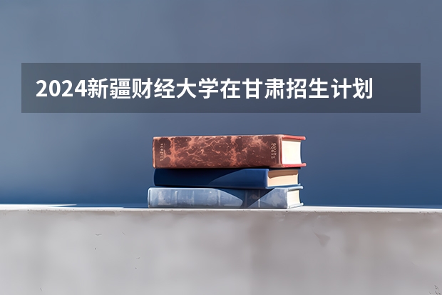 2024新疆财经大学在甘肃招生计划