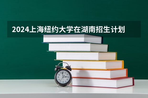 2024上海纽约大学在湖南招生计划