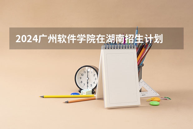 2024广州软件学院在湖南招生计划