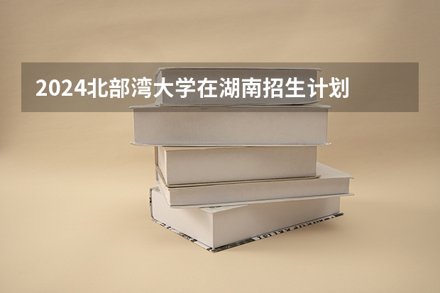 2024北部湾大学在湖南招生计划