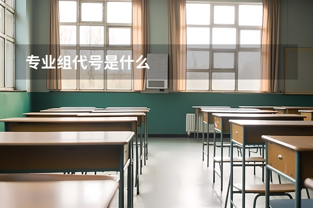 专业组代号是什么