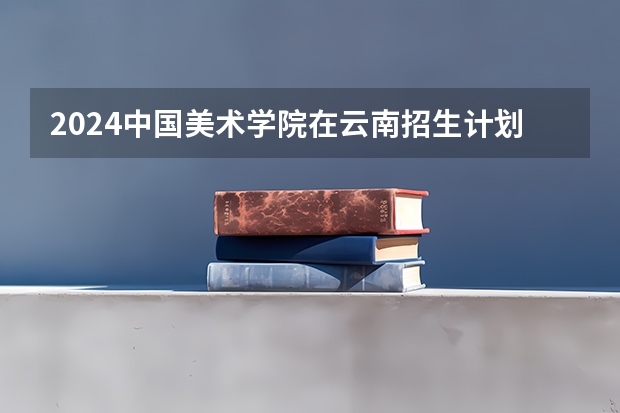 2024中国美术学院在云南招生计划