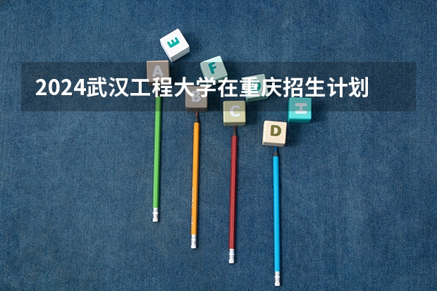 2024武汉工程大学在重庆招生计划