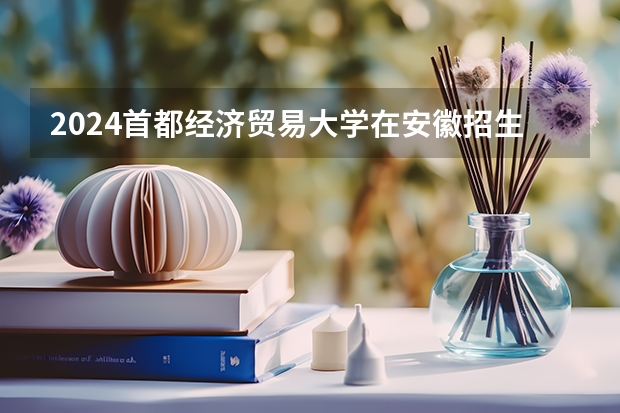 2024首都经济贸易大学在安徽招生计划