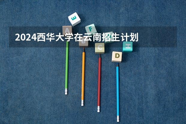 2024西华大学在云南招生计划