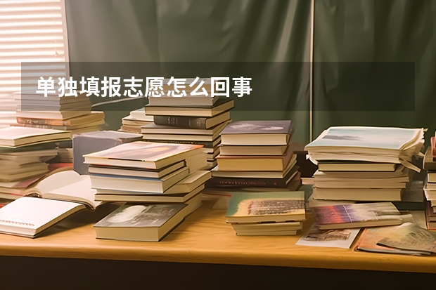 单独填报志愿怎么回事