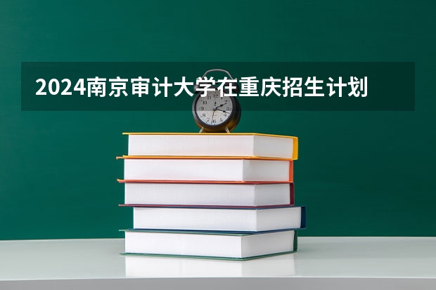 2024南京审计大学在重庆招生计划