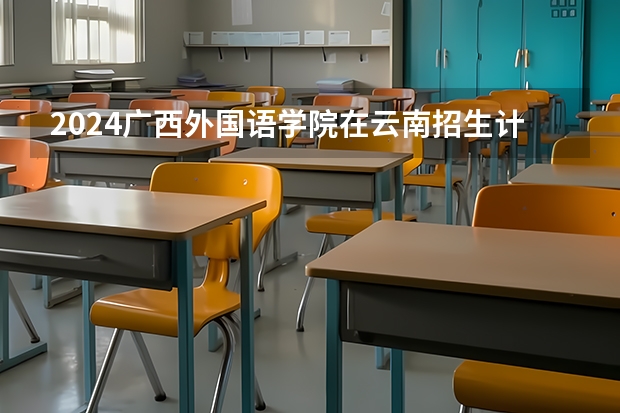 2024广西外国语学院在云南招生计划