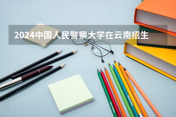 2024中国人民警察大学在云南招生计划