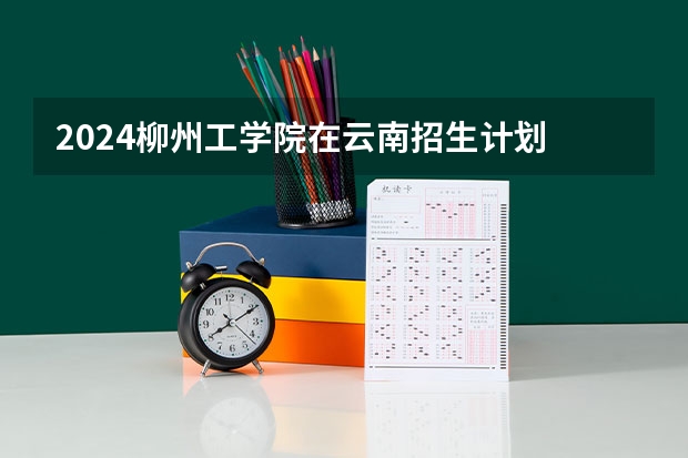 2024柳州工学院在云南招生计划